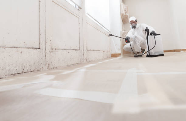 24/7 Emergency Mold Remediation experts in Louisville, TN